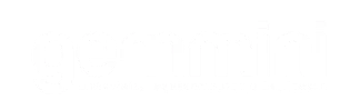 gemmini